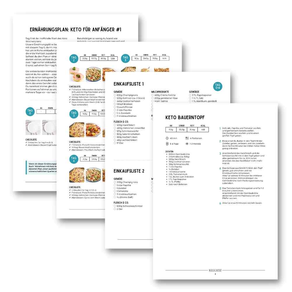 Meal Plan PDF Bild
